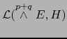 ${\cal L}(\stackrel{p+q}{\wedge} E,H)$