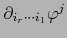 $\partial_{i_r \cdots i_1} \varphi^j
$