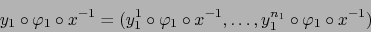 \begin{displaymath}
y_1 \circ \varphi_1 \circ x^{-1} = (y_1^1 \circ \varphi_1 \circ x^{-1}, \ldots, y_1^{n_1} \circ \varphi_1 \circ x^{-1})
\end{displaymath}