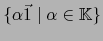 $\{ \alpha \vec 1 \bigm\vert \alpha \in {\mathbb{K}}\}$