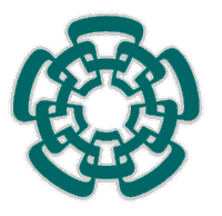 Logotipo de COMPUTACION, CINVESTAV-IPN